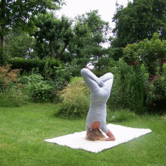Sabine
                        Weidner, Yoga in Lbeck